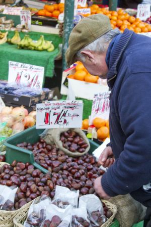 york chestnuts sm.jpg